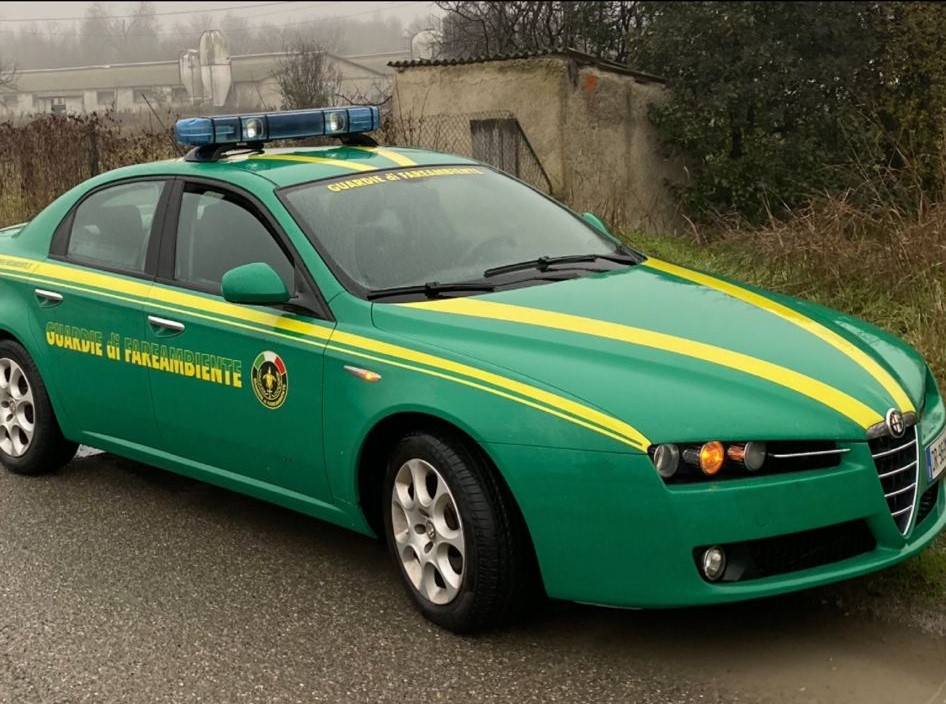 Rifiuti abbandonati